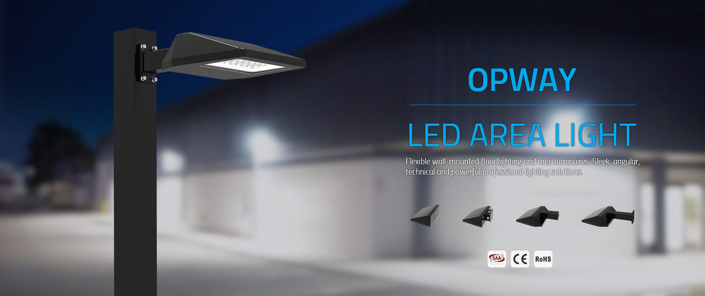 LEDの屋外の洪水ライト